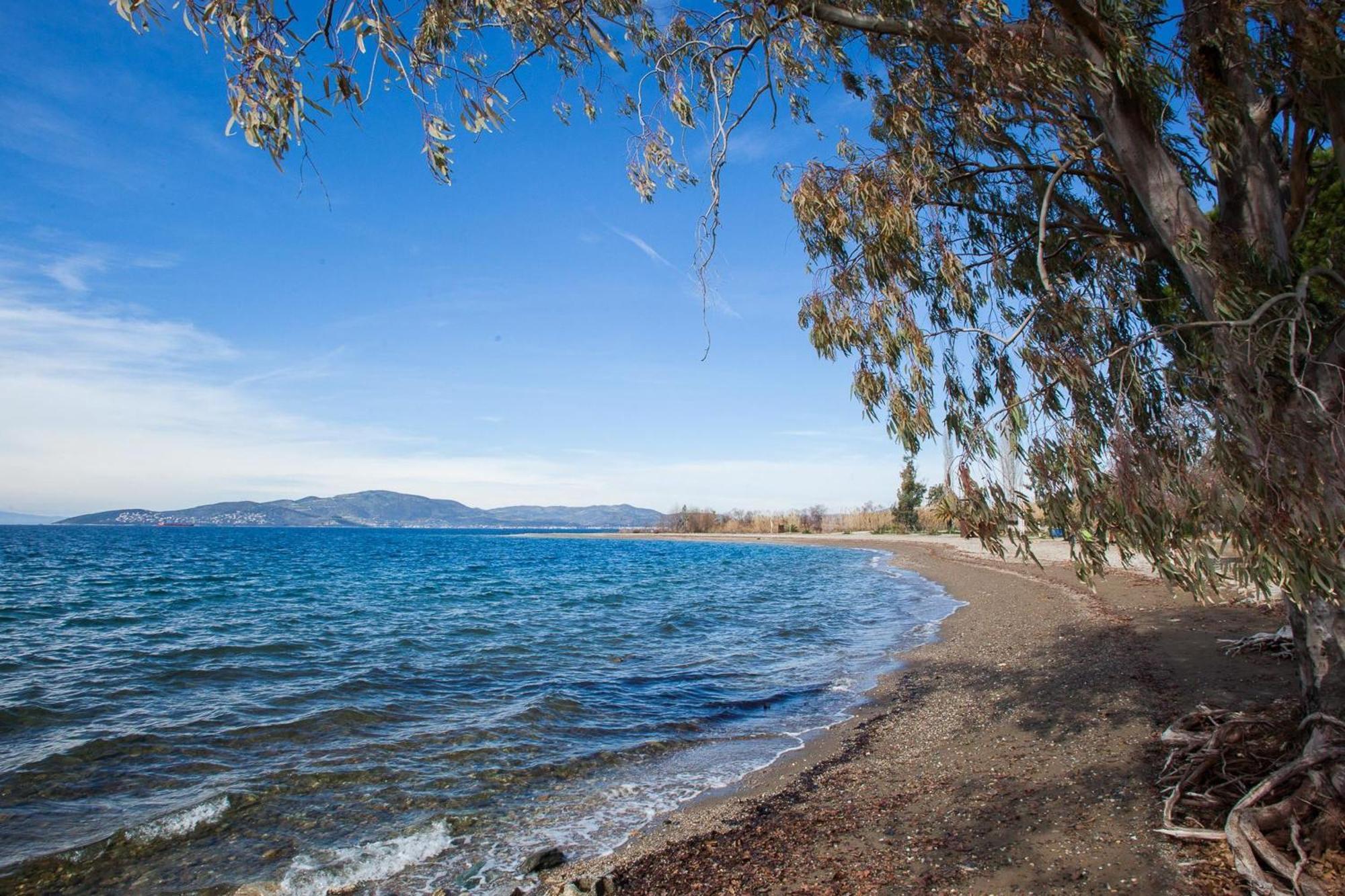 הוילה Káto Lekhónia Karnagio Seafront In Agria מראה חיצוני תמונה